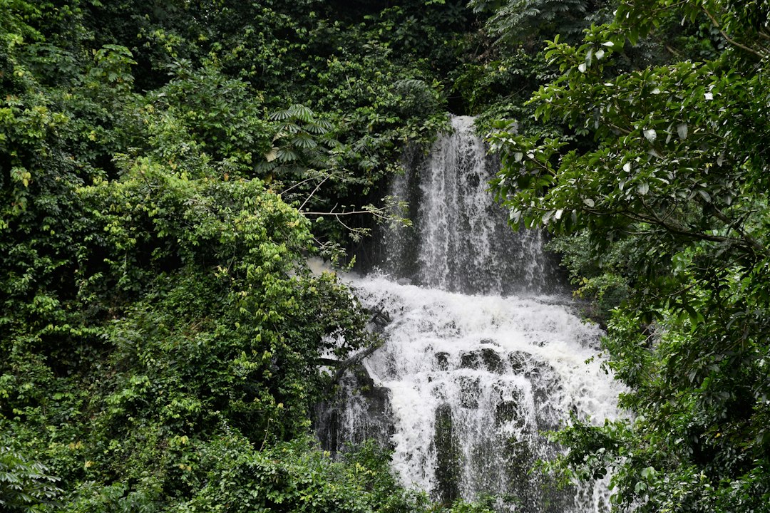 Forest waterfall experience in Ghana